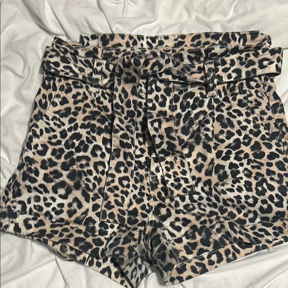 Express High Waist Brown and Black Shorts